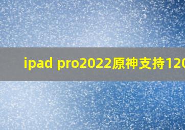 ipad pro2022原神支持120帧